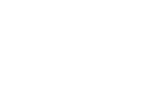 DS81 | DANIEL SCHUBOTH – Internet & Druckerzeugnisse